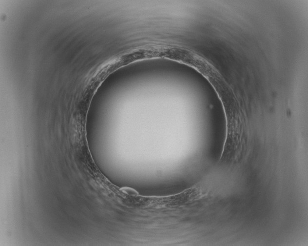 X0000078840773200611201312