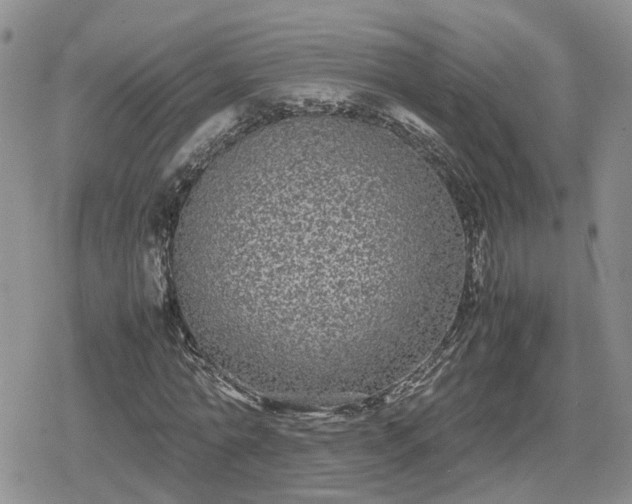 X0000078840774200611201312