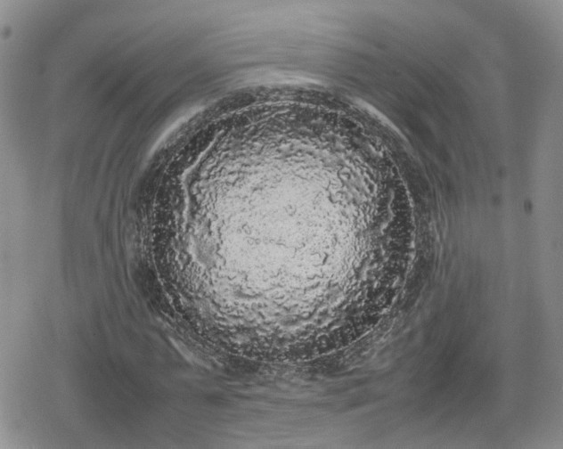 X0000078840775200611201312