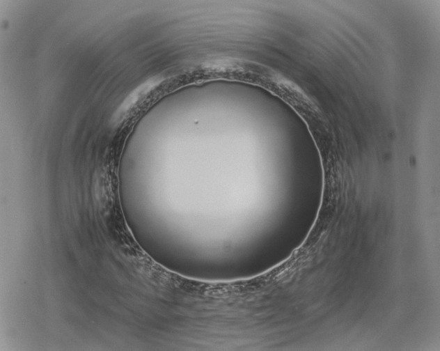 X0000078840776200611201312