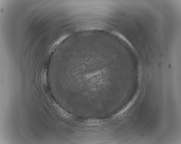 X0000078840777200611201312