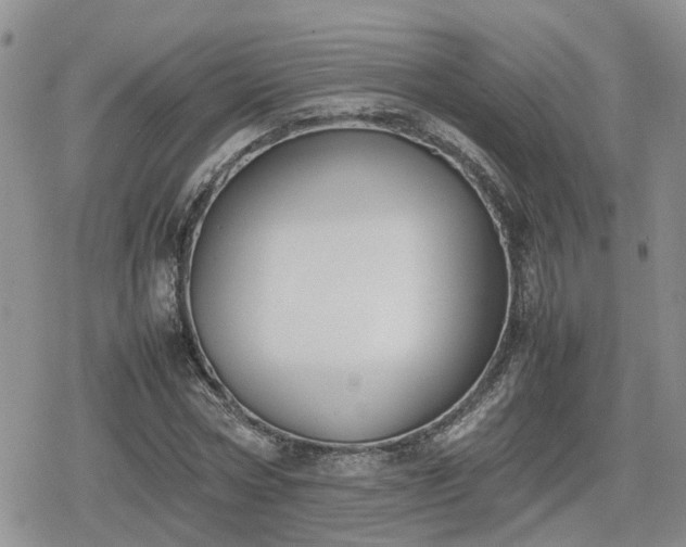 X0000078840778200611201312