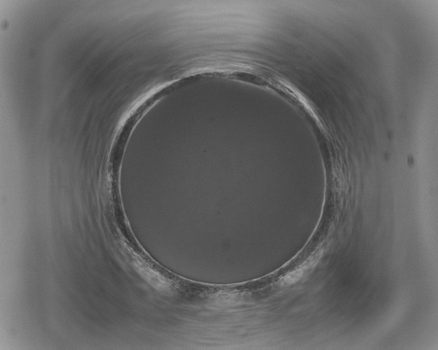 X0000078840779200611201312