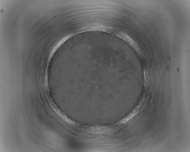 X0000078840780200611201312