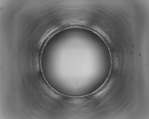 X0000078840782200611201312