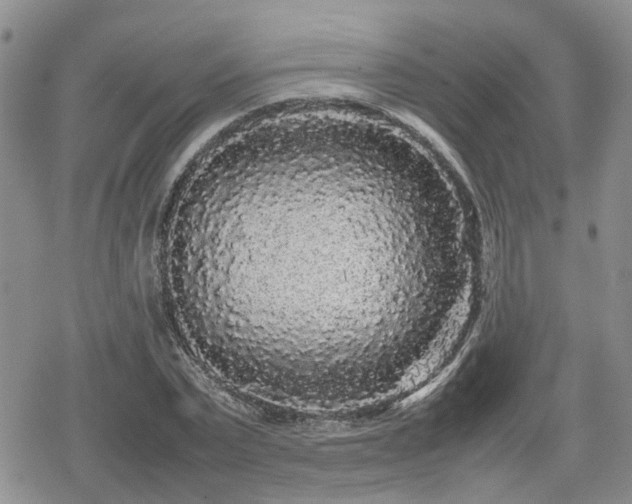 X0000078840783200611201312