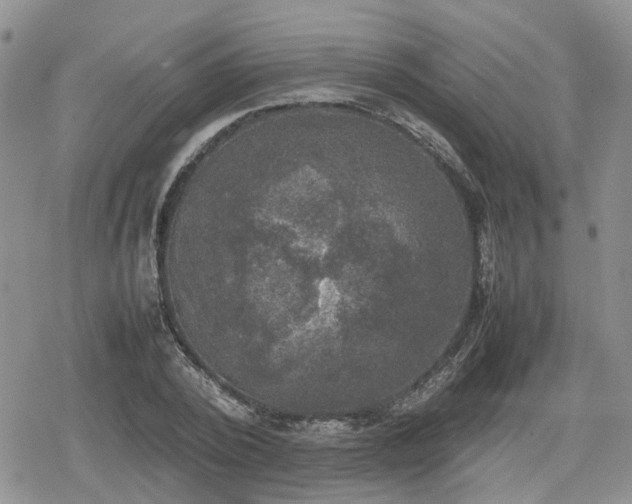 X0000078840784200611201312