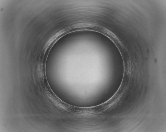 X0000078840786200611201312