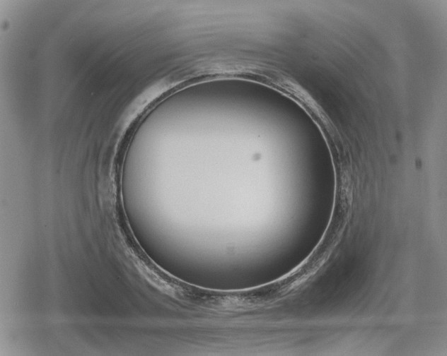 X0000078840787200611201312