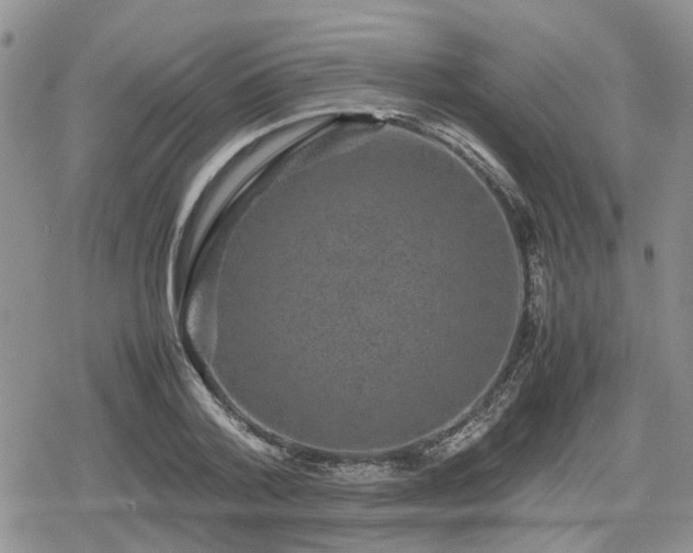 X0000078840788200611201312