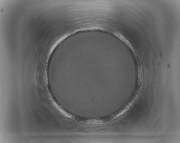 X0000078840789200611201312