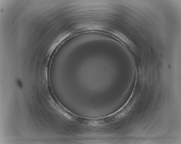 X0000078840790200611201312