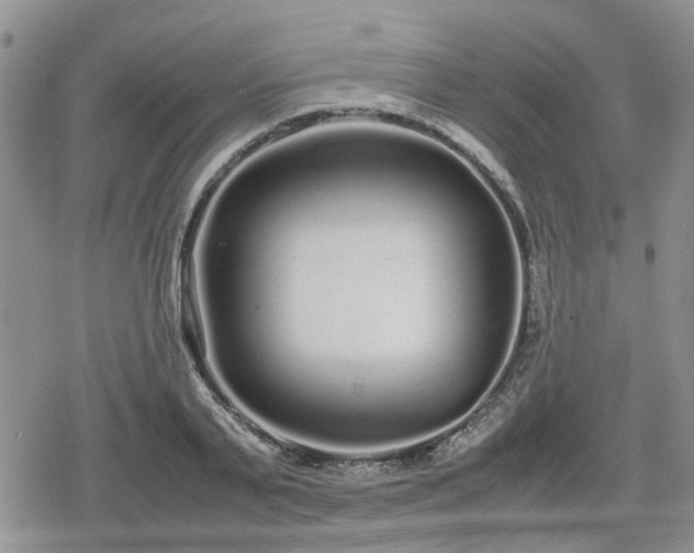 X0000078840791200611201312