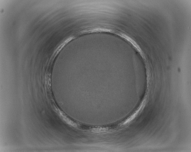 X0000078840793200611201312