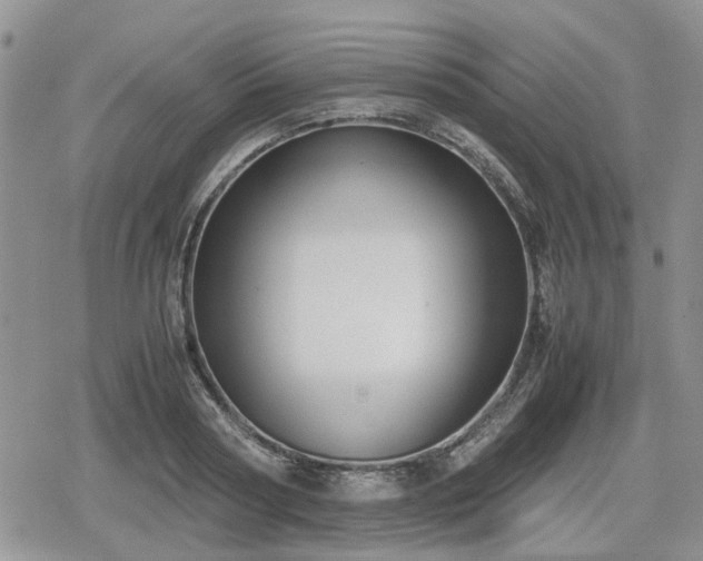 X0000078840794200611201312