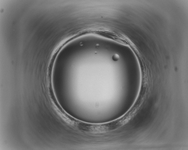 X0000078840795200611201312