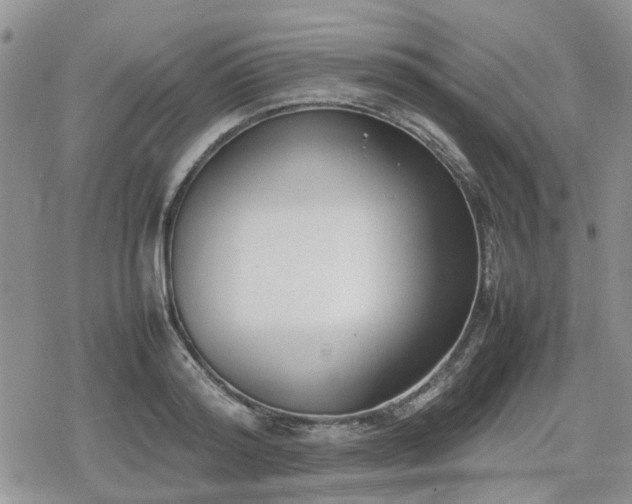 X0000078840796200611201312