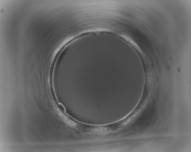 X0000078840797200611201312