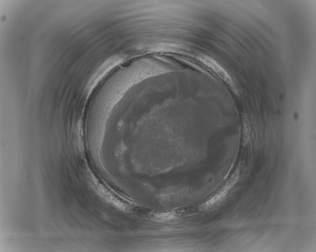 X0000078840798200611201312