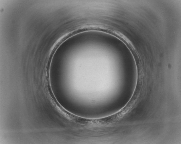 X0000078840799200611201312