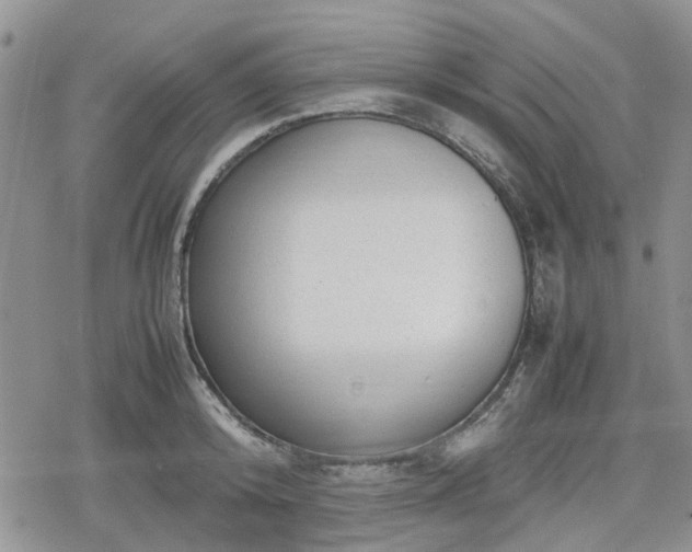 X0000078840800200611201312