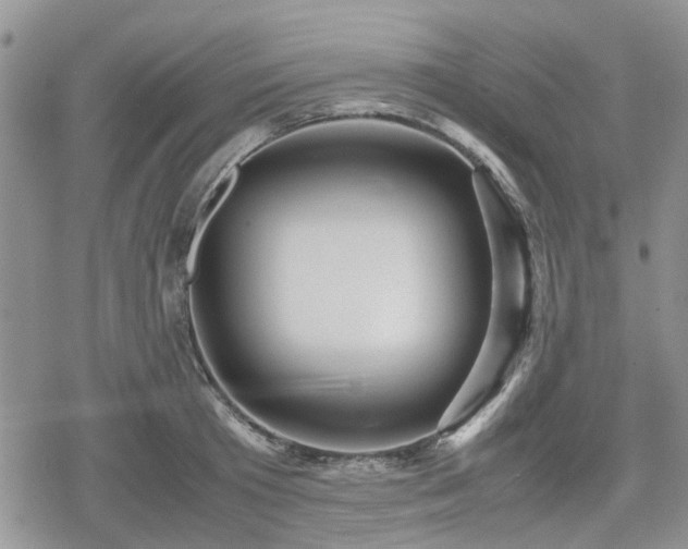 X0000078840801200611201312