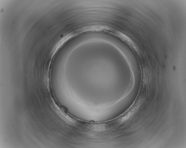 X0000078840802200611201312