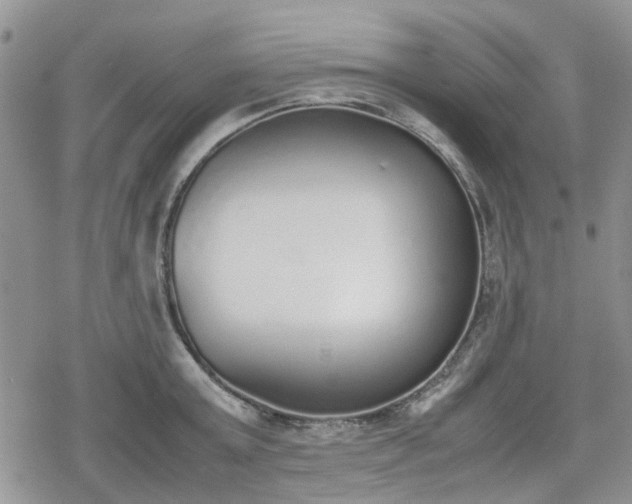 X0000078840803200611201312