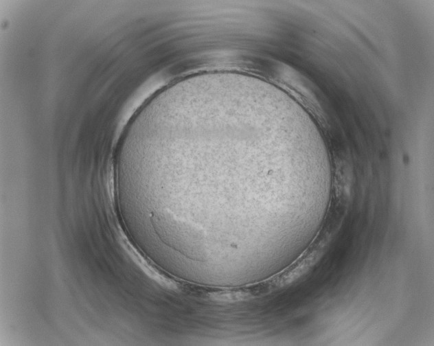 X0000078840804200611201312