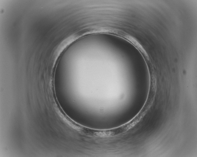 X0000078840805200611201312