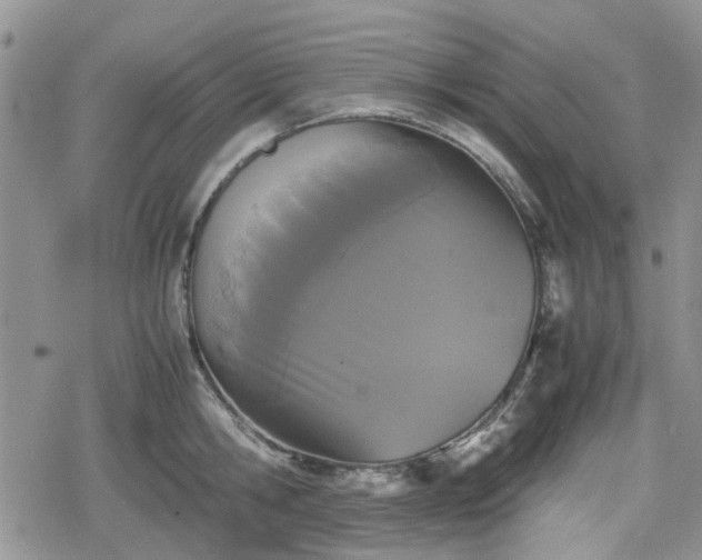 X0000078840806200611201312