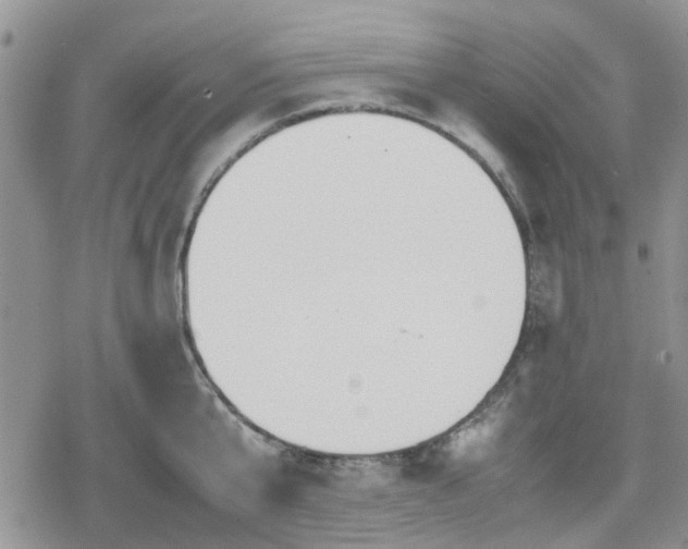 X0000078840807200611201312