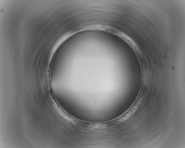 X0000078840808200611201312