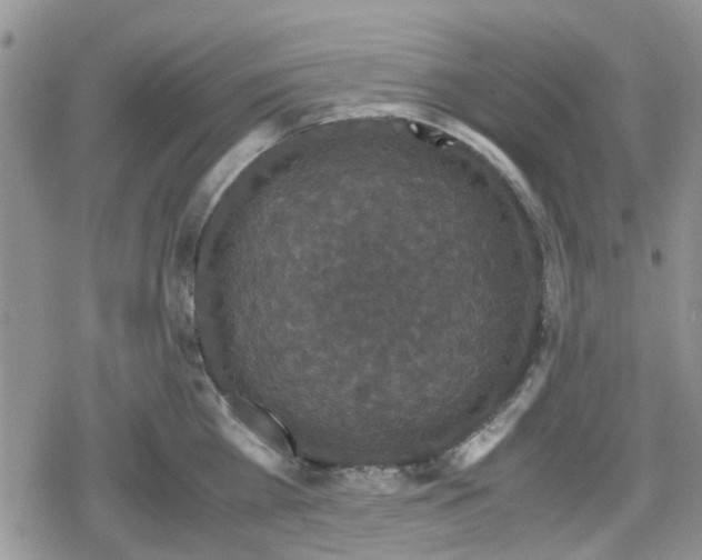 X0000078840809200611201312