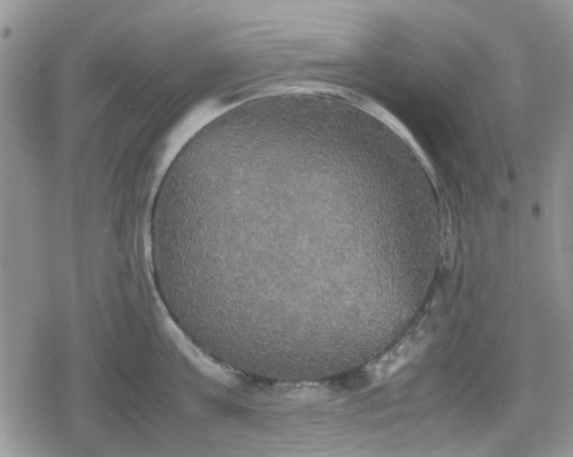 X0000078840811200611201312