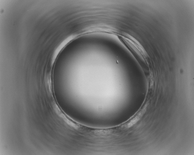 X0000078840812200611201312