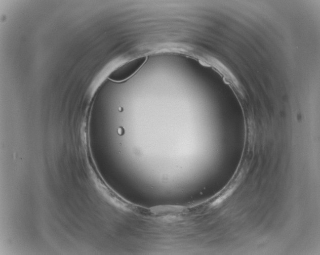 X0000078840814200611201311