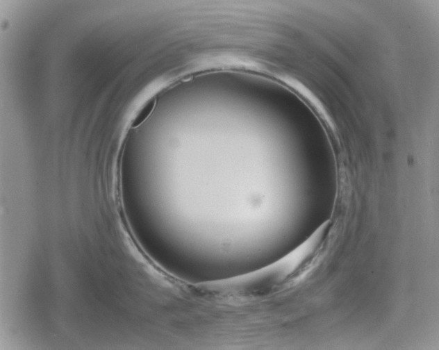 X0000078840815200611201311