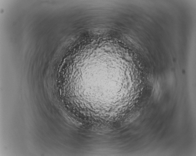 X0000078840817200611201311