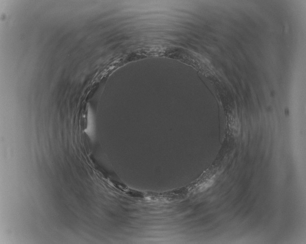 X0000078840818200611201311