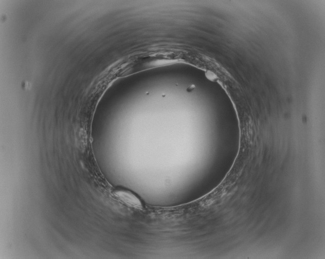 X0000078840821200611201311