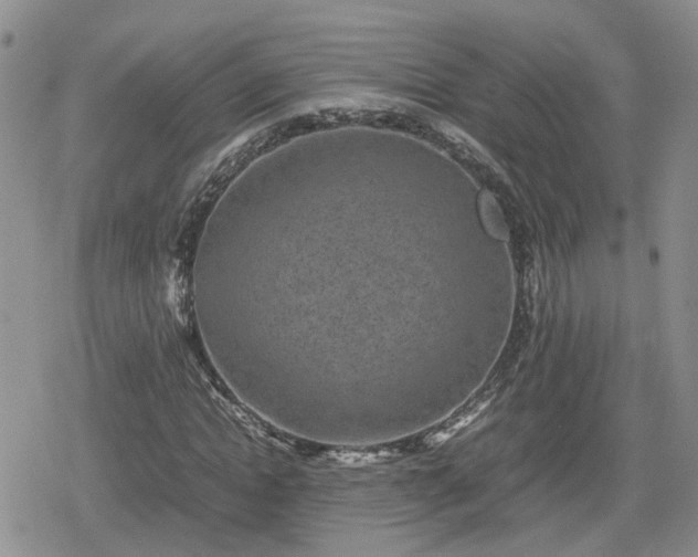 X0000078840822200611201311