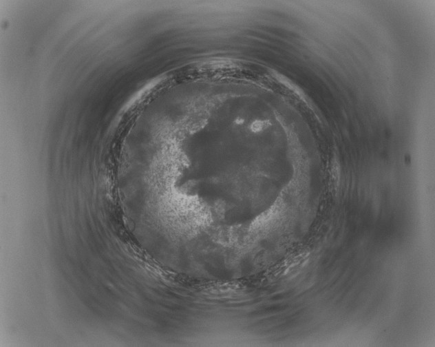 X0000078840823200611201311