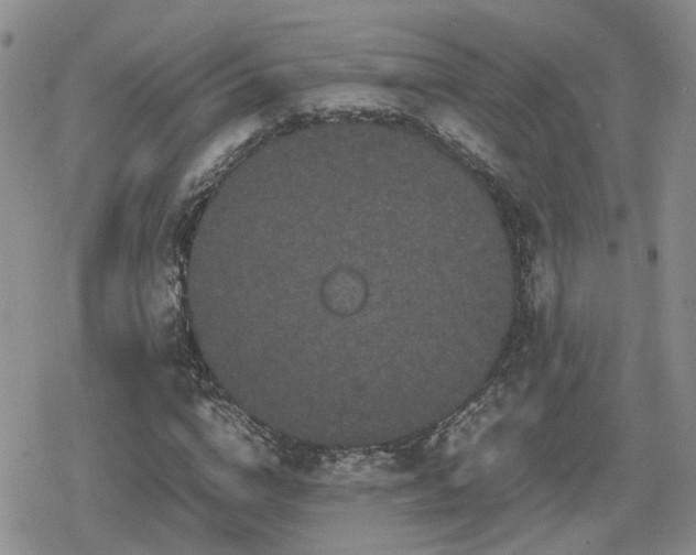 X0000078840824200611201311