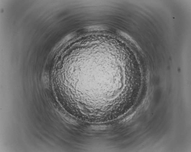 X0000078840825200611201311