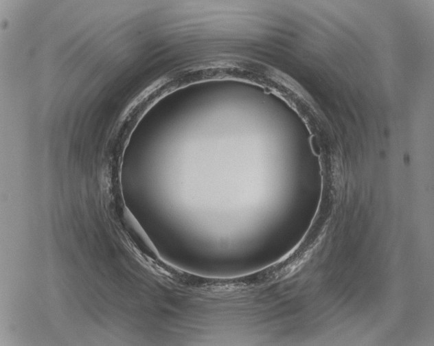 X0000078840826200611201311