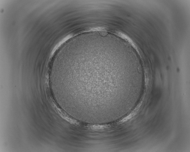 X0000078840827200611201311