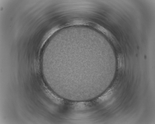 X0000078840828200611201311