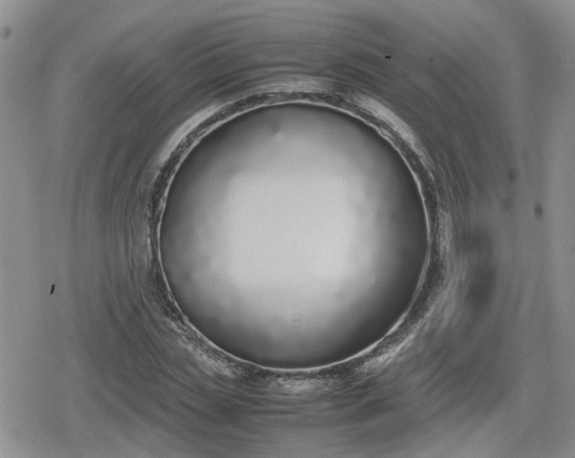 X0000078840829200611201311