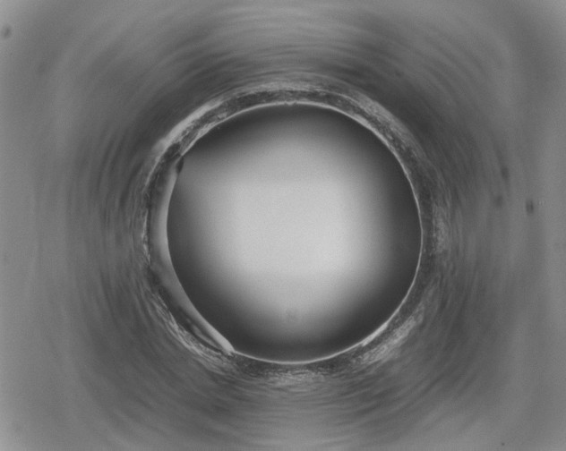 X0000078840830200611201311